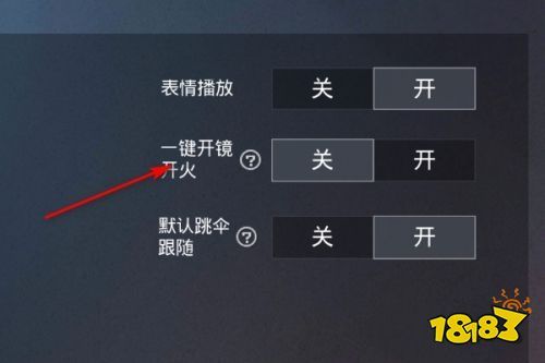 【神罚特别版】✅支持所有电脑系统，支持模拟器高清版。人物透视 锁死自瞄 射线方框 物资显示